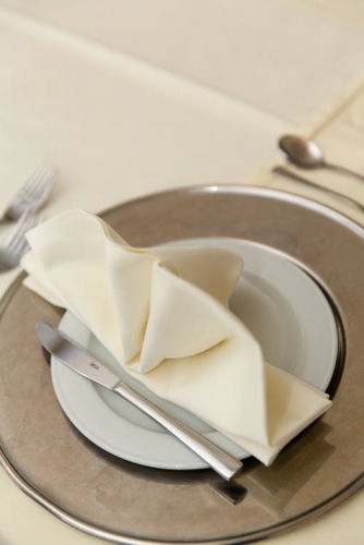 PARTENAIRE ARGENT - Commandite d'un service sur 4 du banquet