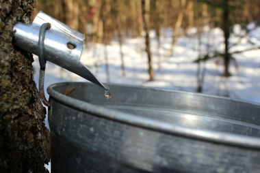 Billet Adulte et Enfant de 13 ans et plus - CABANE À SUCRE 26 mars 2023 - Cégep de Lévis